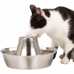 Fontaine à eau inoxable PetSafe Seaside