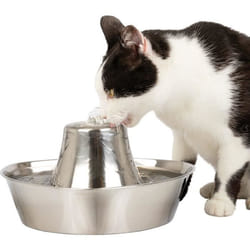 Fontaine à eau inoxable PetSafe Seaside