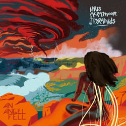 ImportCDs An Angel Fell CD Musique du monde