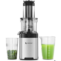 AMZCHEF Extracteur de Jus de Fruits et Légumes avec moteur silencieux/tasse à jus/brosse de nettoyage Ouverture de 79 mm Argent