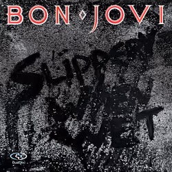 Mercury Bon Jovi - Slippery When Wet (Remaste, Rock, CD, Bon Jovi, Support physique, 1 disques, 04/03/2016
