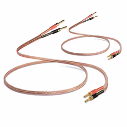 Câble denceinte HiFi - GENERIC - 2m - Fiches banane plaquées or - 13 AWG - Facile à connecter