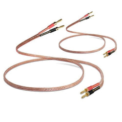 Câble denceinte HiFi - GENERIC - 2m - Fiches banane plaquées or - 13 AWG - Facile à connecter