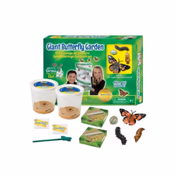 Kit délevage de papillons Géant - Bon pour chenilles