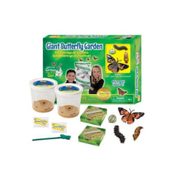 Kit délevage de papillons Géant - Bon pour chenilles