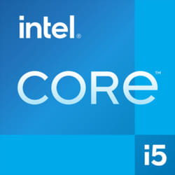 Intel NUC 11 Pro UCFF Noir i5-1135G7