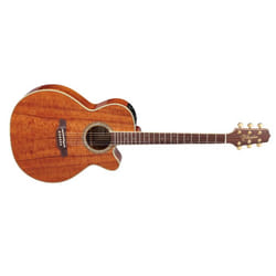 Takamine EF508KC guitare Guitare électroacoustique NEX 6 cordes Rosier