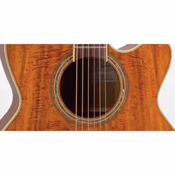 Takamine EF508KC guitare Guitare électroacoustique NEX 6 cordes Rosier