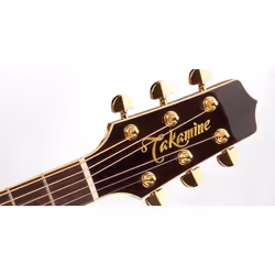 Takamine EF508KC guitare Guitare électroacoustique NEX 6 cordes Rosier