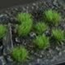 GamersGrass Strong Green 6mm Tufts Small pièce pour modèle à l'échelle et accessoires