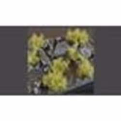 GamersGrass Spikey Green Wild, Garçon/Fille