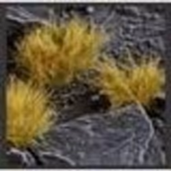 GamersGrass Autumn XL 12mm Tufts Wild XL, Garçon/Fille
