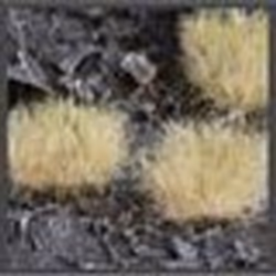 GamersGrass Winter XL 12mm Tufts Wild XL, Garçon/Fille