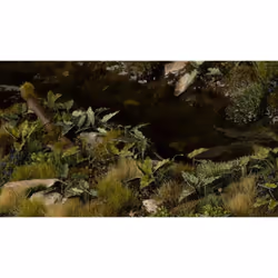 GamersGrass Laser Plants - Lords-and-Ladies, Garçon/Fille