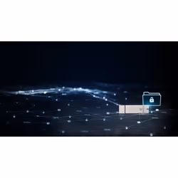 Kingston Technology IronKey 128 GB Basic S1000 Encrypted USB 3.0 FIPS 140-2 Level 3 - Vue supplémentaire 7