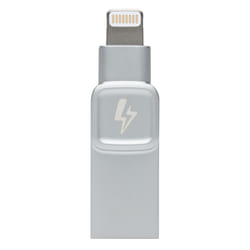 Kingston Technology DataTraveler Bolt Duo lecteur USB flash 128 Go USB Type-A / Lightning 3.2 Gen 1 (3.1 Gen 1) Argent