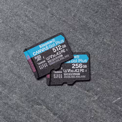 Kingston Technology Carte microSDXC Canvas Go Plus 170R A2 U3 V30 de 512 Go + ADP - Vue supplémentaire 7