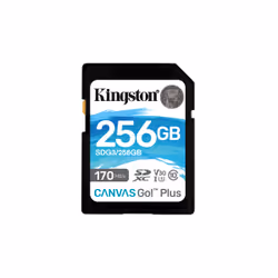 Kingston Technology Carte SDXC Canvas Go Plus 170R C10 UHS-I U3 V30 de 256 Go, 256 Go, SD, Classe 10, UHS-I, 170 Mo/s, 90 Mo/ ...