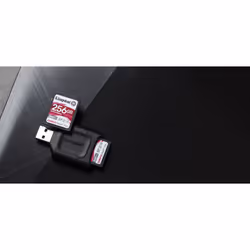 Kingston Technology Canvas React Plus 256 Go SD UHS-II Classe 10 - Vue supplémentaire 5