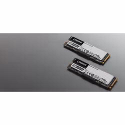Kingston Technology KC2500 M.2 2 To PCI Express 3.0 3D TLC NVMe