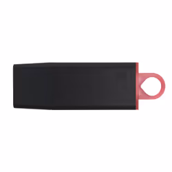 Kingston Technology DataTraveler Exodia - Clé USB 3.2
