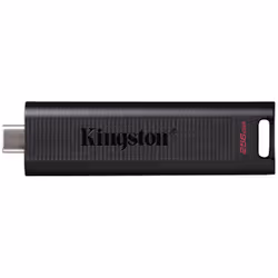 Kingston Technology DataTraveler 256GB Max 1000R/900W USB 3.2 Gen 2