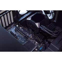 Kingston Technology 1024G KC3000 M.2 2280 NVMe SSD - Vue supplémentaire 9