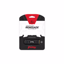 Kingston Technology 2000G FURY RENEGADE M.2 2280 NVMe SSD - Vue supplémentaire 5