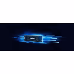 Kingston Technology 1000G FURY RENEGADE M.2 2280 NVMe SSD - Vue supplémentaire 11