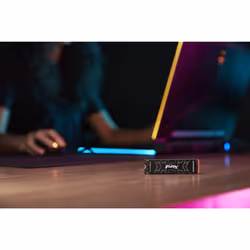 Kingston Technology 1000G FURY RENEGADE M.2 2280 NVMe SSD - Vue supplémentaire 13