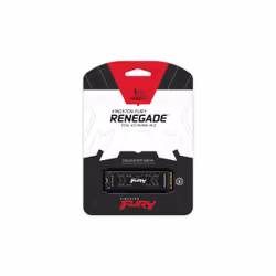 Kingston Technology 1000G FURY RENEGADE M.2 2280 NVMe SSD - Vue supplémentaire 5
