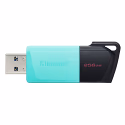 Kingston Technology DataTraveler 256GB USB3.2 Gen1 Exodia M (Noir + Turquoise)