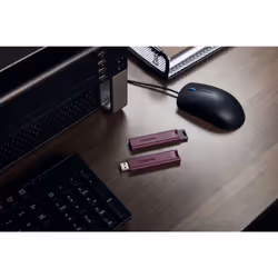 Kingston Technology DataTraveler 1 TB Max Type-A 1000R/900W USB 3.2 Gen 2 - Vue supplémentaire 12