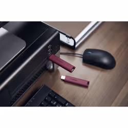 Kingston Technology DataTraveler 1 TB Max Type-A 1000R/900W USB 3.2 Gen 2 - Vue supplémentaire 13