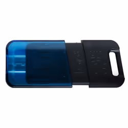 Kingston Technology DataTraveler 128GB 80 M 200 Mo/s USB-C 3.2 Gen 1