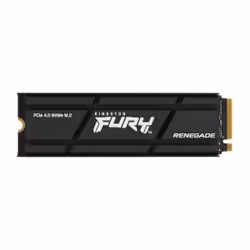 Kingston Technology 500G RENEGADE PCIe 4.0 NVMe SSD W/ Radiateur de dissipation thermique, 500 Go, M.2