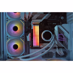 Kingston Technology FURY 32 Go 6400 MT/s DDR5 CL32 DIMM (Kits de 2) Renegade RGB Blanc XMP - Vue supplémentaire 7