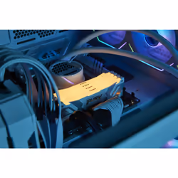 Kingston Technology FURY 32 Go 6400 MT/s DDR5 CL32 DIMM (Kits de 2) Renegade RGB Blanc XMP - Vue supplémentaire 8