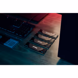 Kingston Technology FURY 32 Go 4600 MT/s DDR4 CL19 DIMM (Kits de 2) 1Gx8 Renegade Black - Vue supplémentaire 15