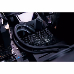 Kingston Technology FURY 32 Go 4600 MT/s DDR4 CL19 DIMM (Kits de 2) 1Gx8 Renegade Black - Vue supplémentaire 8