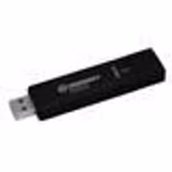 Kingston Technology IronKey D500S