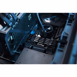 Kingston Technology FURY 48 Go 6400 MT/s DDR5 CL32 DIMM Renegade Argent XMP - Vue supplémentaire 13