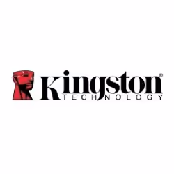 Kingston Technology Kingston IronKey Locker+ 50 256GB, 256 Go, USB Type-A, 3.2 Gen 1 (3.1 Gen 1), 30 Mo/s, Casquette, Argent