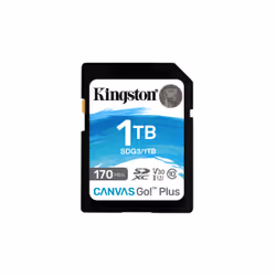 Kingston Technology Carte SDXC Canvas Go Plus 170R C10 UHS-I U3 V30 de 1 To