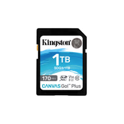 Kingston Technology Carte SDXC Canvas Go Plus 170R C10 UHS-I U3 V30 de 1 To