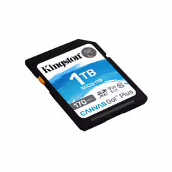 Kingston Technology Carte SDXC Canvas Go Plus 170R C10 UHS-I U3 V30 de 1 To