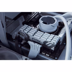Kingston Technology FURY 16 Go 8000 MT/s DDR5 CL38 DIMM Renegade White XMP - Vue supplémentaire 8