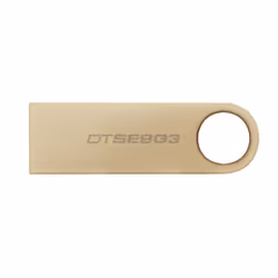 Kingston Technology DataTraveler 64Go 220Mo/s Clé USB 3.2 Gen 1 Métal SE9 G3
