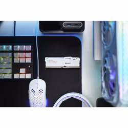 Kingston Technology FURY Beast 64 GB 6000MT/s DDR5 CL30 DIMM (Kit of 2) White RGB EXPO - Vue supplémentaire 9