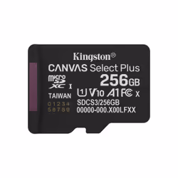 Kingston Technology 256GB micSDXC Canvas Select Plus Gen3 150R A1 (Adaptateur SD non inclus), 256 Go, MicroSDXC, Classe 10, U ...